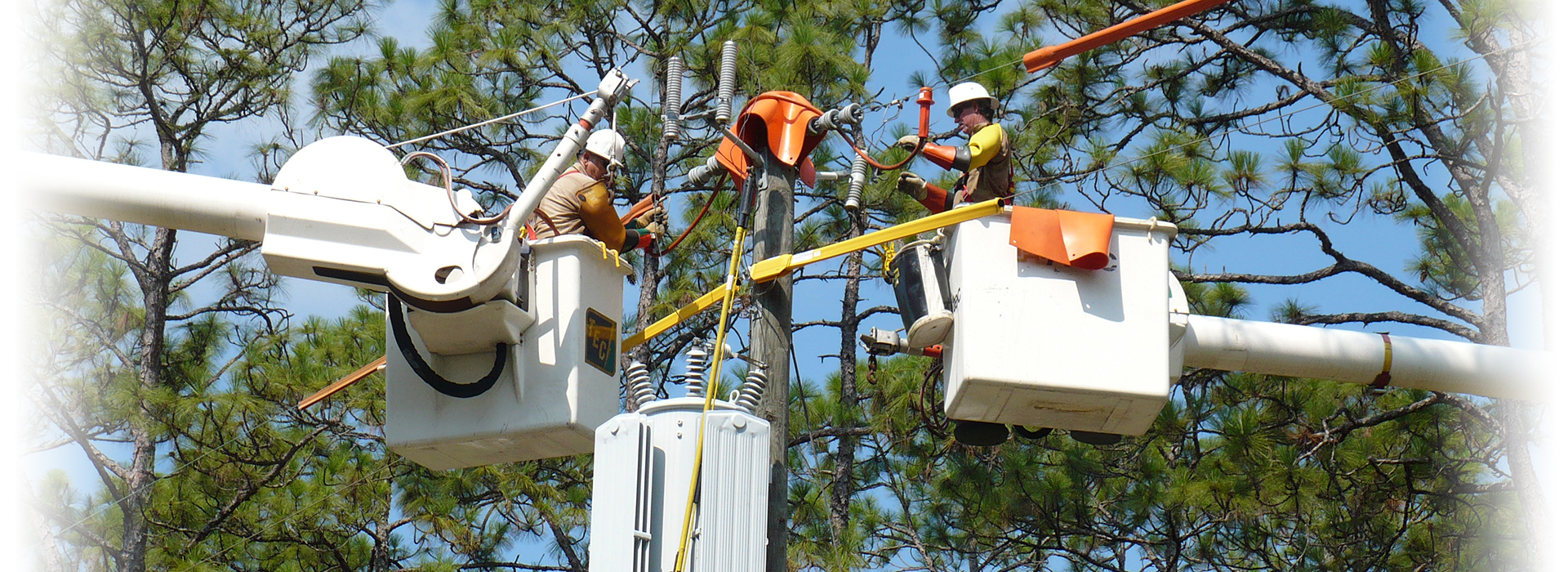 electric cooperative insurance